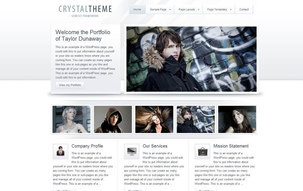 Top 10 Best WordPress Themes fro Pro Bloggers